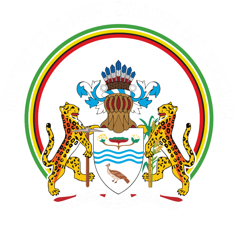 guyana tourism authority logo